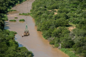 Myfacemood - Il Rinoceronte che sorvola la Riserva del Fish River in Sud Africa