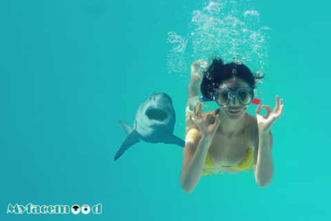 Myfacemood - KiteSurf un drone cattura delle immagini terrificanti di uno squalo bianco!