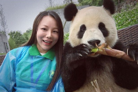 Myfacemood - Questo Panda fotogenico ha talento per i selfie!