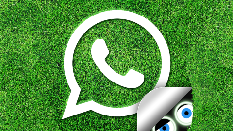 Myfacemood - Wallpaper nel profilo di WhatsApp